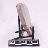 STROMATOLITE, Archean, Australia ZSL061