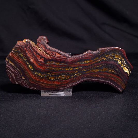 BANDED TIGER IRON MICROBIALITE, Archean, Australia ZBI050