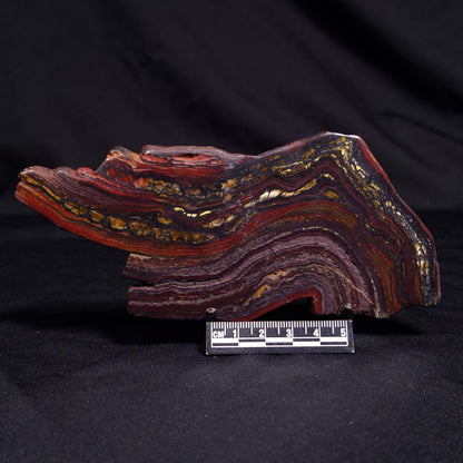BANDED TIGER IRON MICROBIALITE, Archean, Australia ZBI052