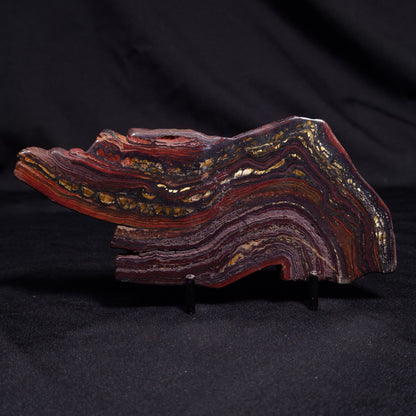 BANDED TIGER IRON MICROBIALITE, Archean, Australia ZBI052