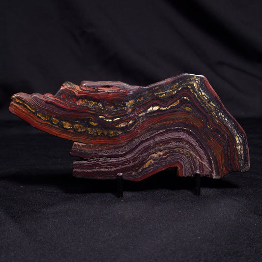 BANDED TIGER IRON MICROBIALITE, Archean, Australia ZBI052