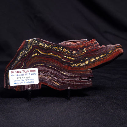 BANDED TIGER IRON MICROBIALITE, Archean, Australia ZBI052