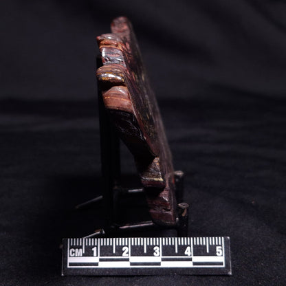 BANDED TIGER IRON MICROBIALITE, Archean, Australia ZBI052