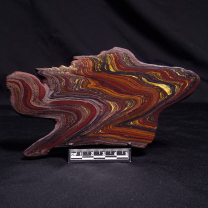 BANDED TIGER IRON MICROBIALITE, Archean, Australia ZBI053