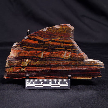BANDED TIGER IRON MICROBIALITE, Archean, Australia ZBI054