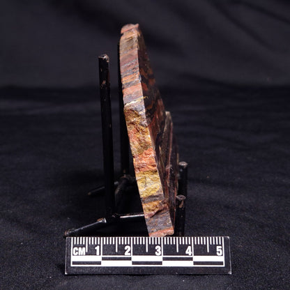 BANDED TIGER IRON MICROBIALITE, Archean, Australia ZBI054