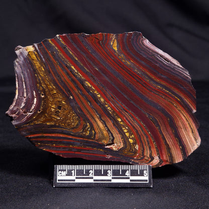 BANDED TIGER IRON MICROBIALITE, Archean, Australia ZBI055