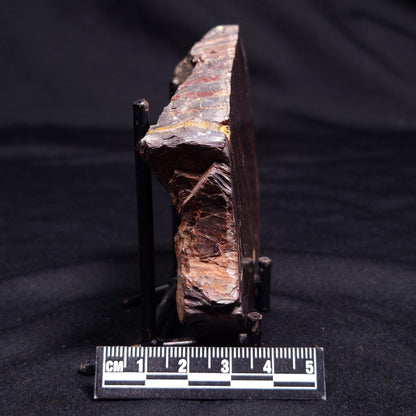 BANDED TIGER IRON MICROBIALITE, Archean, Australia ZBI055