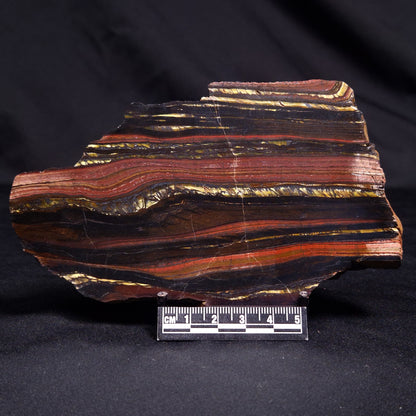 BANDED TIGER IRON MICROBIALITE, Archean, Australia ZBI056