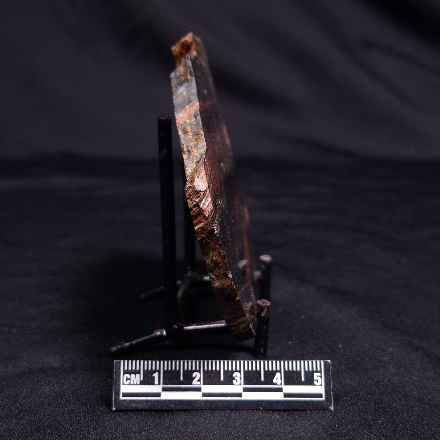 BANDED TIGER IRON MICROBIALITE, Archean, Australia ZBI056