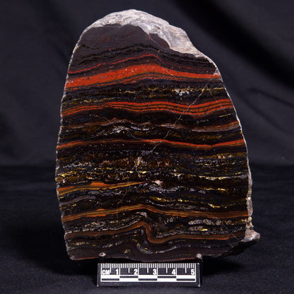 BANDED TIGER IRON MICROBIALITE, Archean, Australia ZBI058
