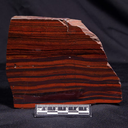 BANDED TIGER IRON MICROBIALITE, Archean, Australia ZBI060