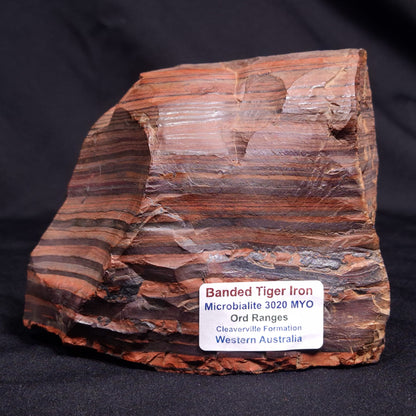BANDED TIGER IRON MICROBIALITE, Archean, Australia ZBI060