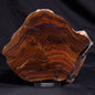 BANDED TIGER IRON MICROBIALITE, Archean, Australia ZBI061