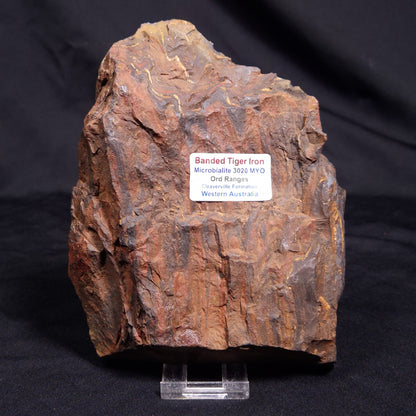 BANDED TIGER IRON MICROBIALITE, Archean, Australia ZBI063