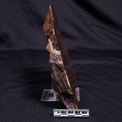BANDED TIGER IRON MICROBIALITE, Archean, Australia ZBI063