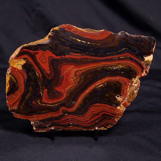 BANDED TIGER IRON MICROBIALITE, Archean, Australia ZBI064