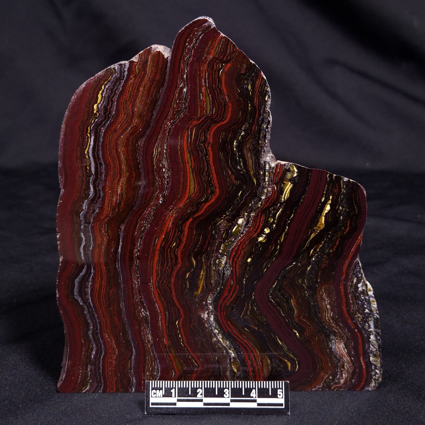 BANDED TIGER IRON MICROBIALITE, Archean, Australia ZBI065