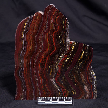 BANDED TIGER IRON MICROBIALITE, Archean, Australia ZBI065