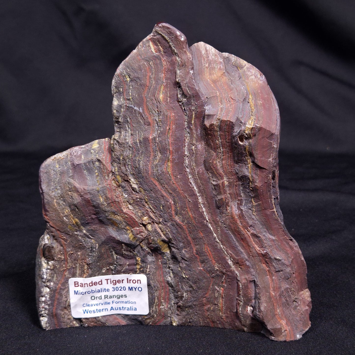 BANDED TIGER IRON MICROBIALITE, Archean, Australia ZBI065