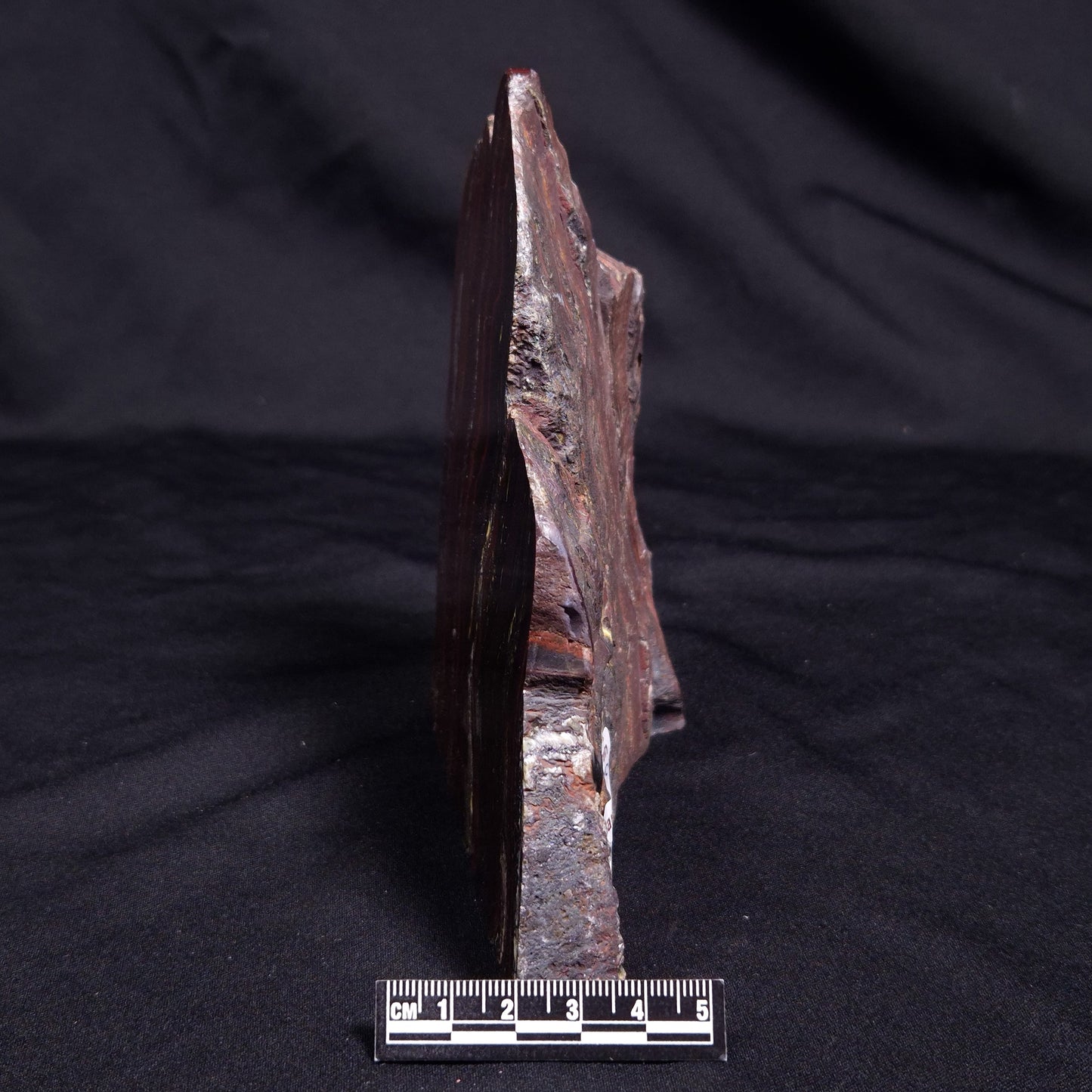 BANDED TIGER IRON MICROBIALITE, Archean, Australia ZBI065