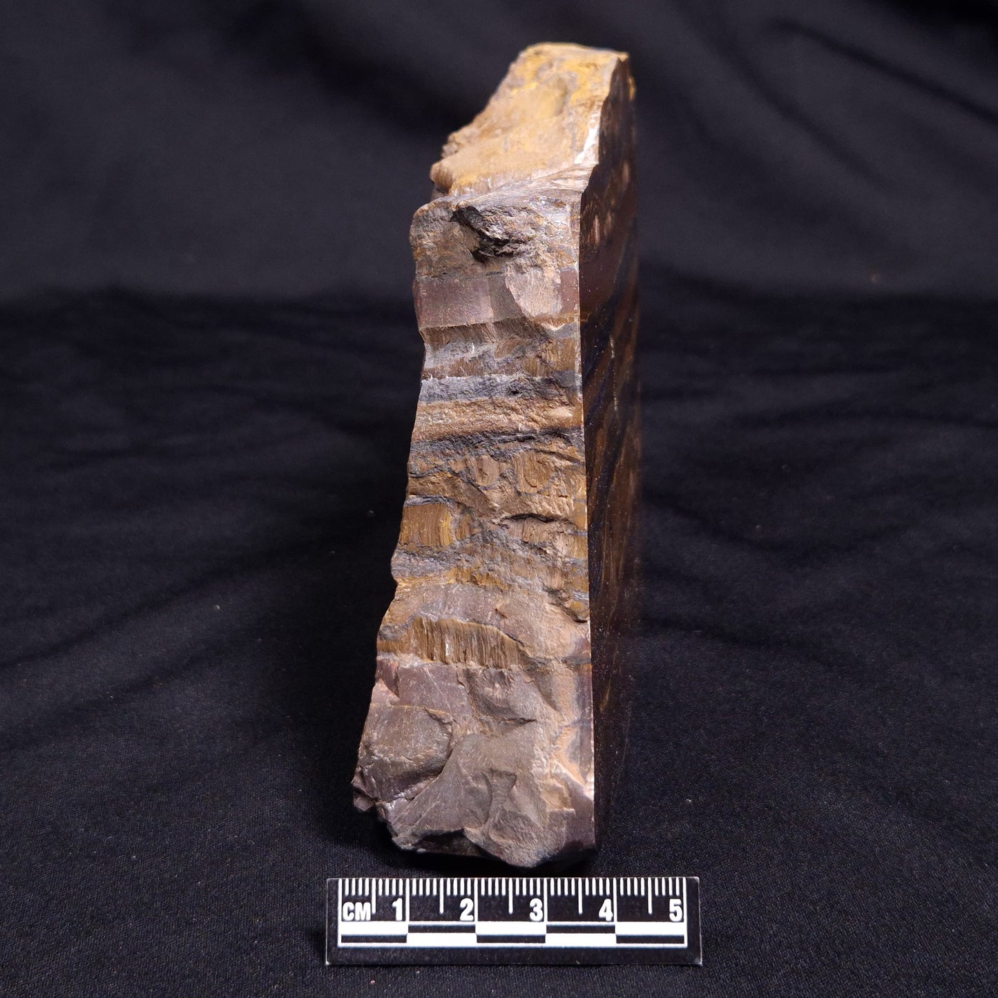 BANDED TIGER IRON MICROBIALITE, Archean, Australia ZBI066