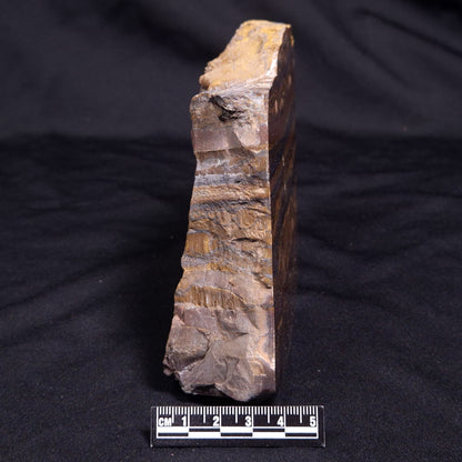 BANDED TIGER IRON MICROBIALITE, Archean, Australia ZBI066