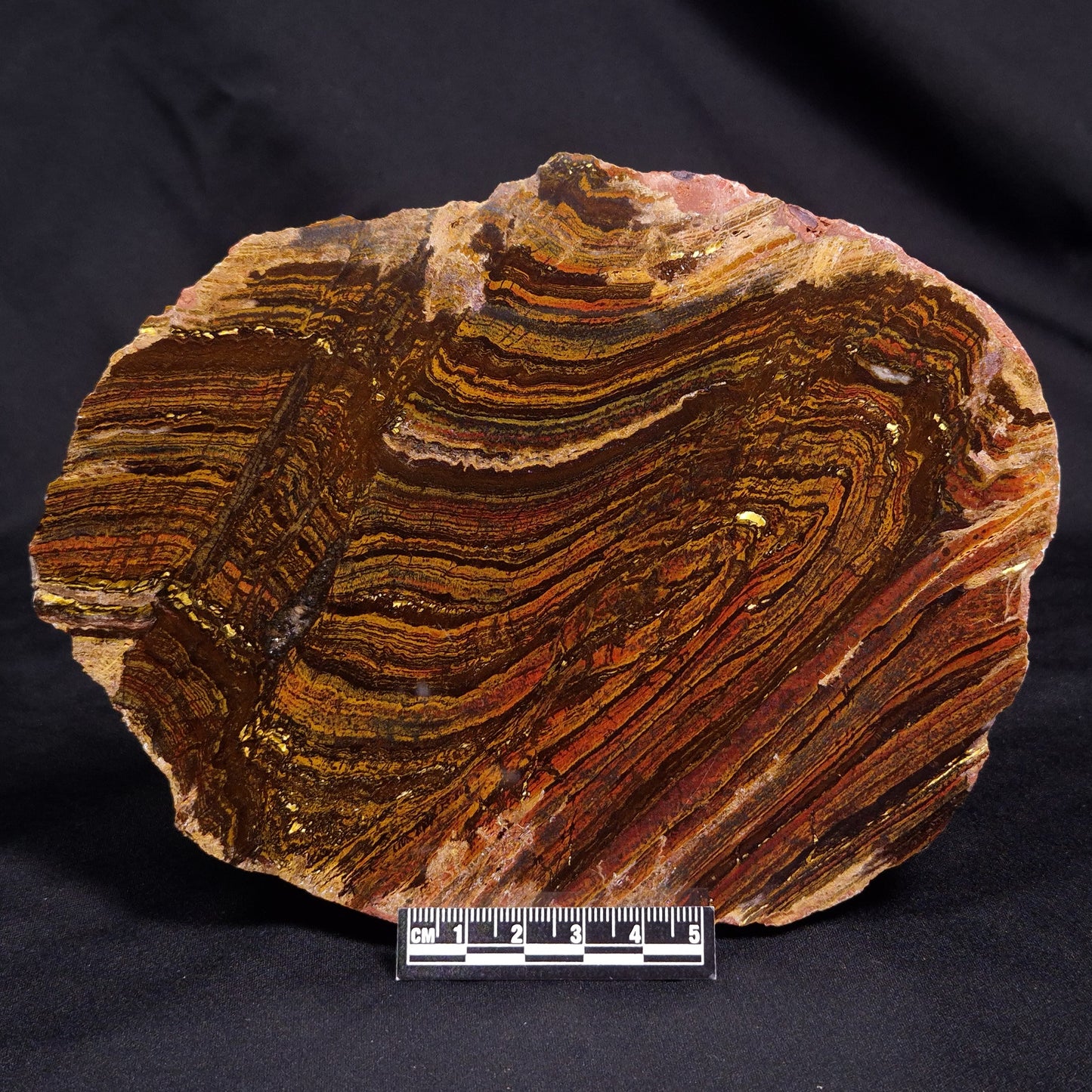 BANDED TIGER IRON MICROBIALITE, Archean, Australia ZBI067