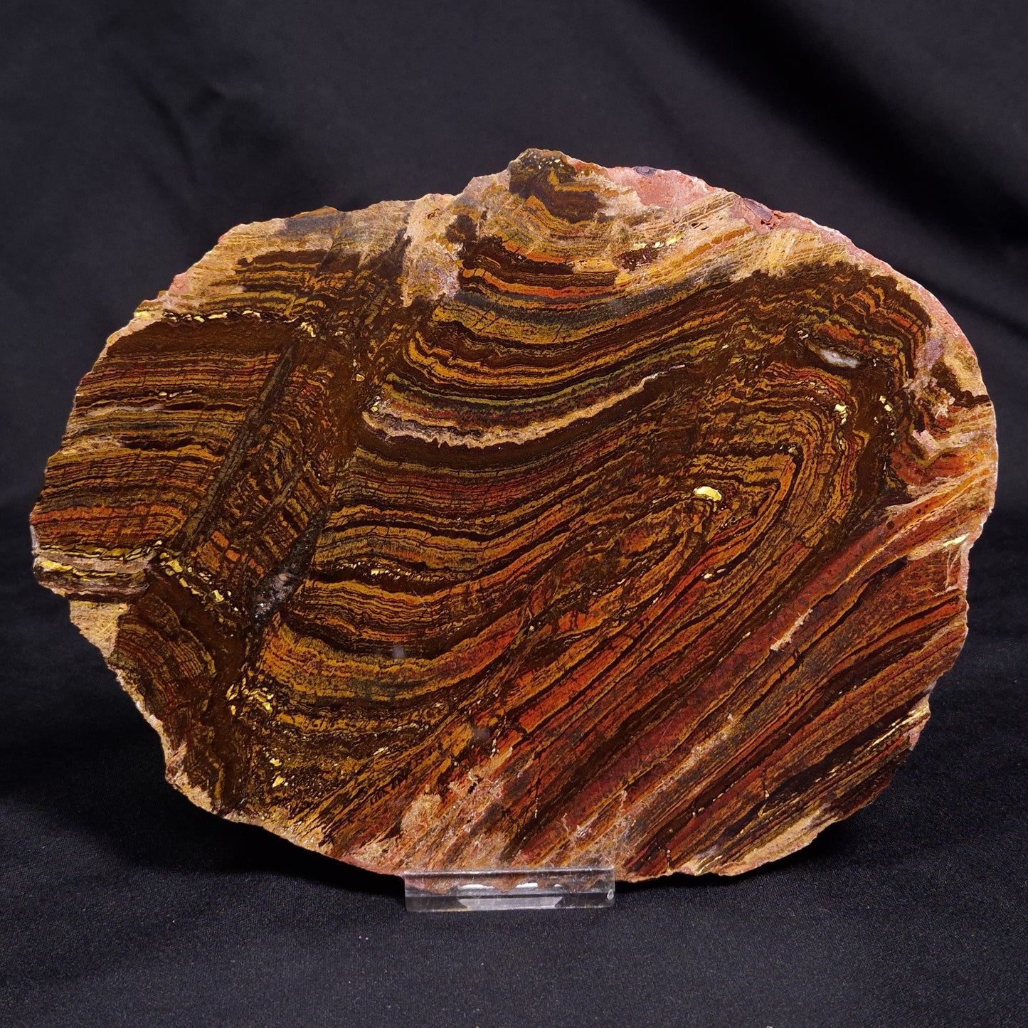 BANDED TIGER IRON MICROBIALITE, Archean, Australia ZBI067