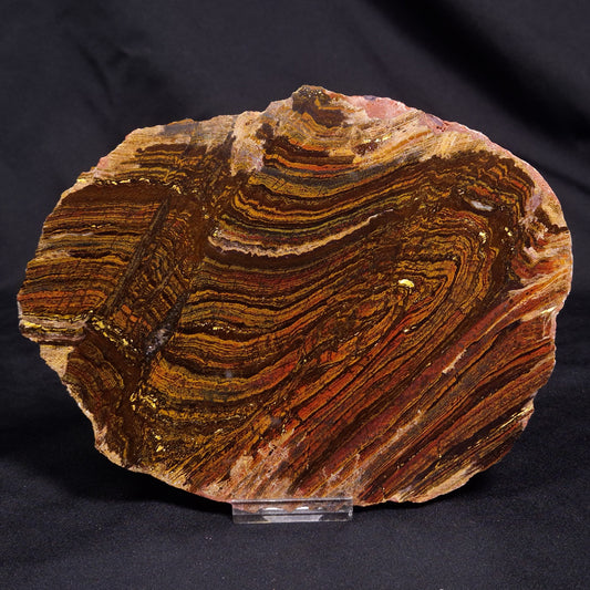 BANDED TIGER IRON MICROBIALITE, Archean, Australia ZBI067