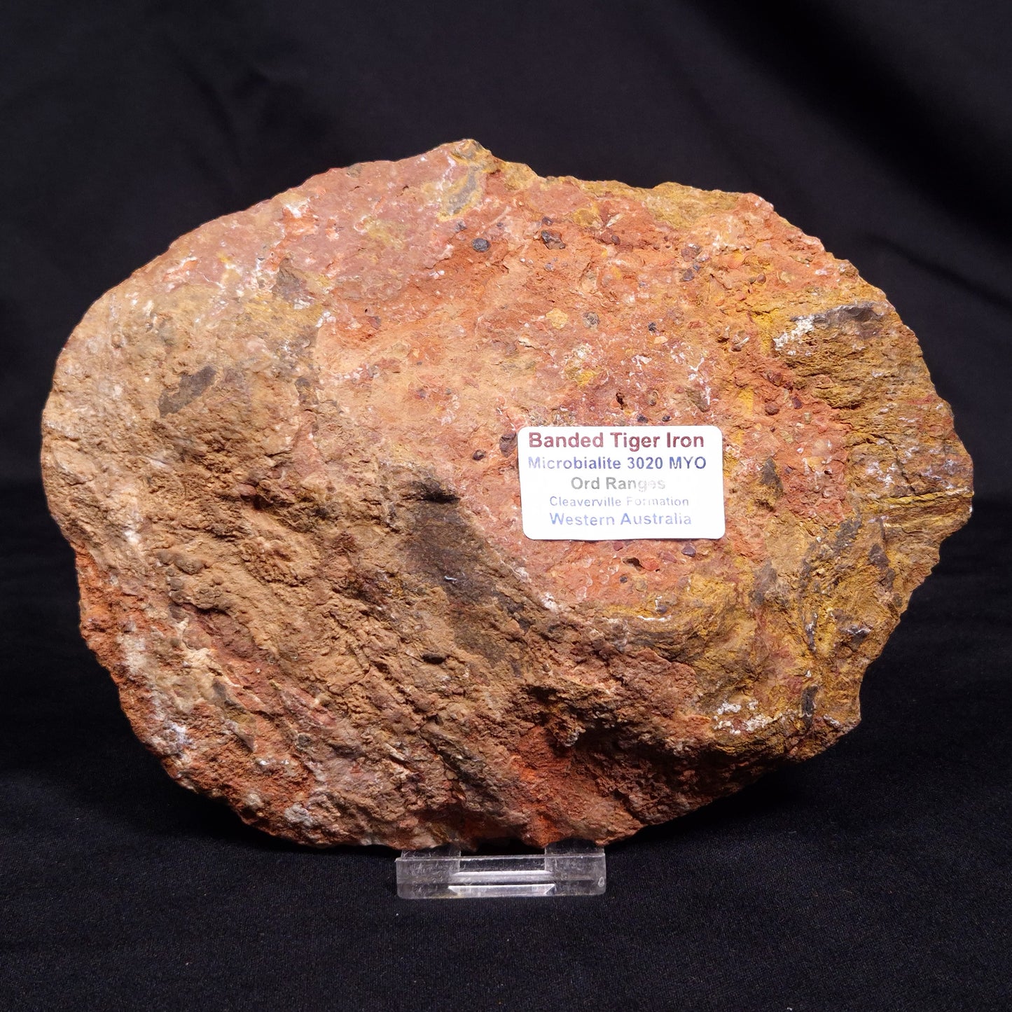 BANDED TIGER IRON MICROBIALITE, Archean, Australia ZBI067