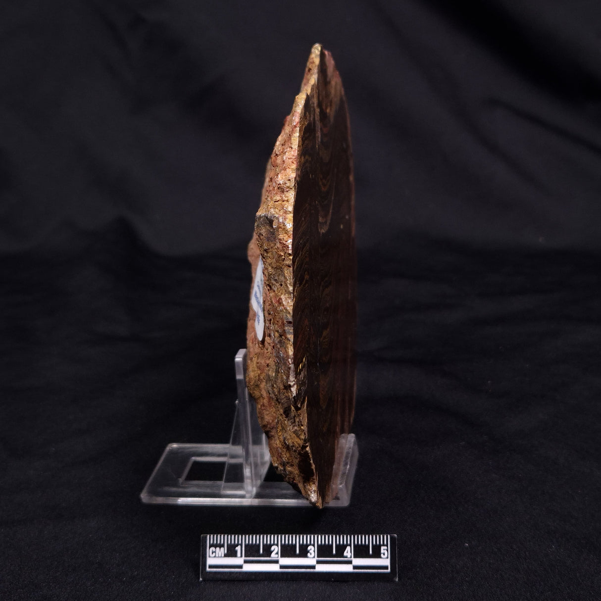 BANDED TIGER IRON MICROBIALITE, Archean, Australia ZBI067