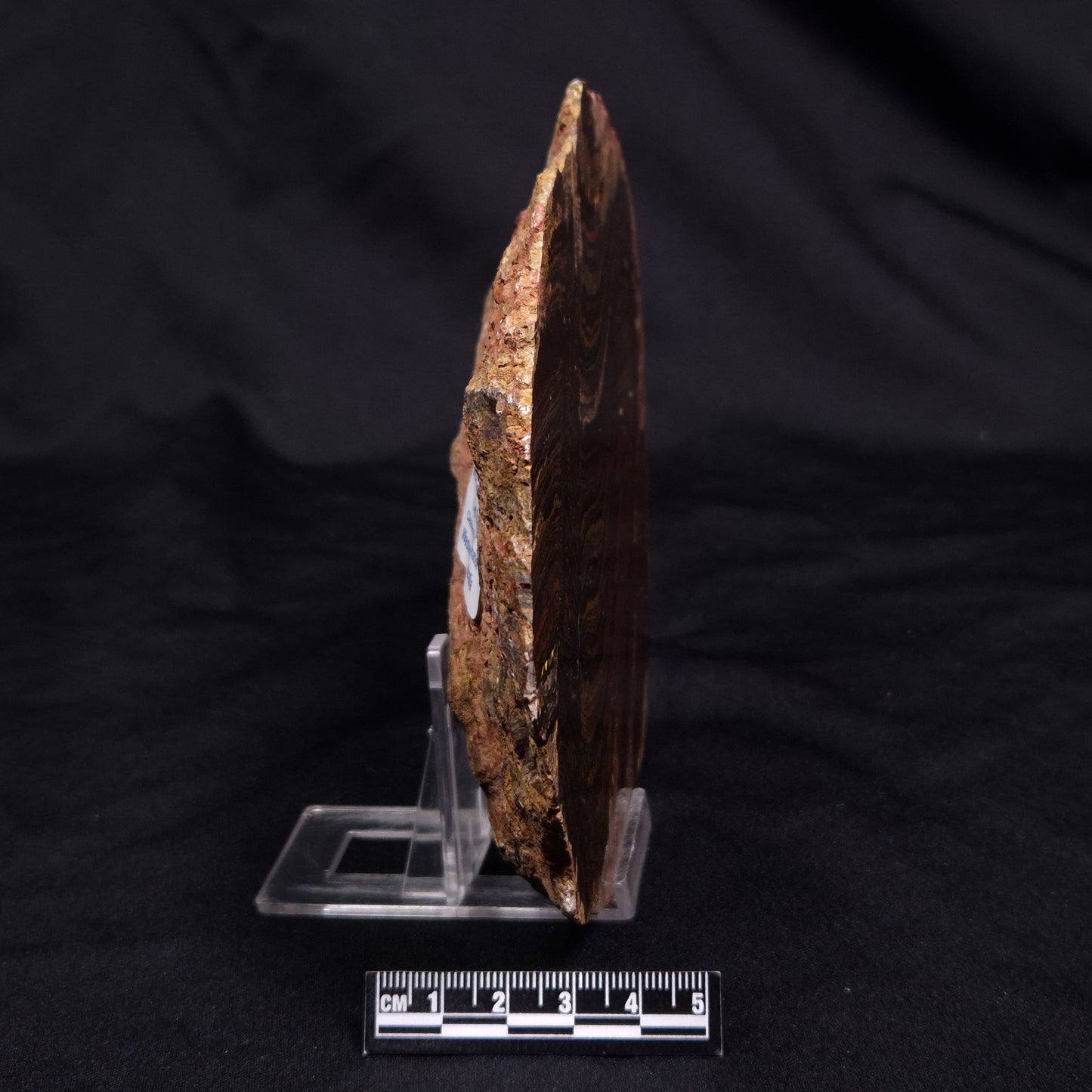 BANDED TIGER IRON MICROBIALITE, Archean, Australia ZBI067