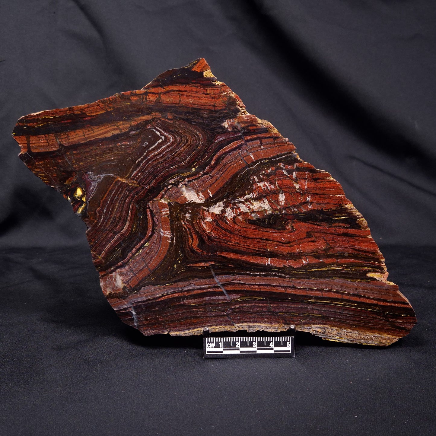 BANDED TIGER IRON MICROBIALITE, Archean, Australia ZBI068