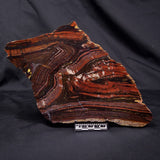 BANDED TIGER IRON MICROBIALITE, Archean, Australia ZBI068