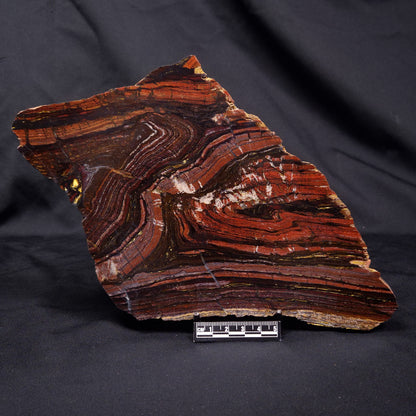 BANDED TIGER IRON MICROBIALITE, Archean, Australia ZBI068