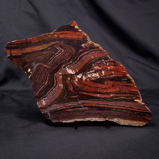 BANDED TIGER IRON MICROBIALITE, Archean, Australia ZBI068