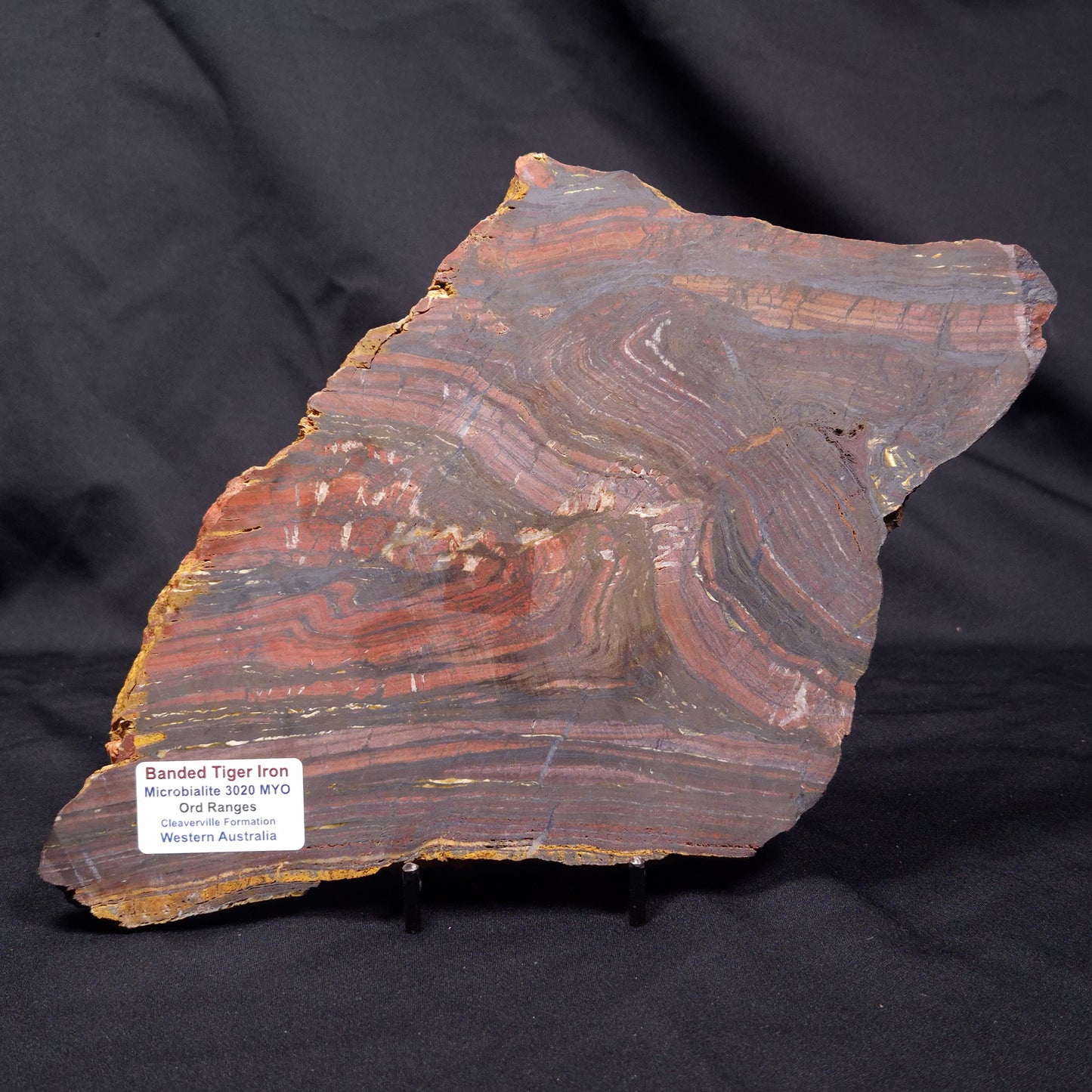BANDED TIGER IRON MICROBIALITE, Archean, Australia ZBI068