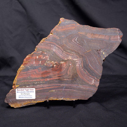 BANDED TIGER IRON MICROBIALITE, Archean, Australia ZBI068