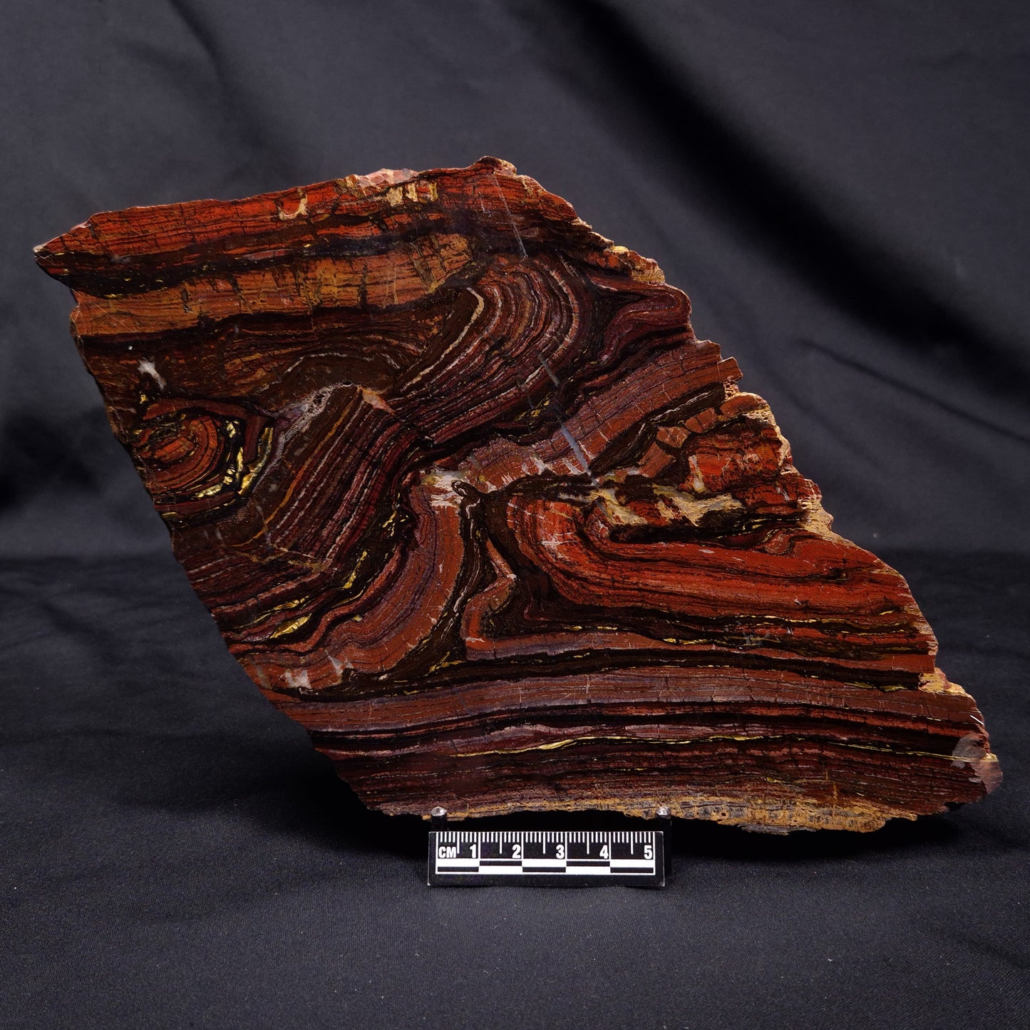 BANDED TIGER IRON MICROBIALITE, Archean, Australia ZBI069