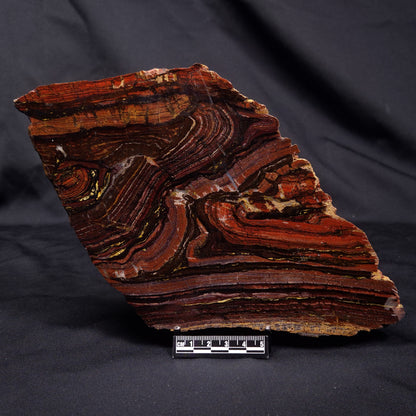 BANDED TIGER IRON MICROBIALITE, Archean, Australia ZBI069