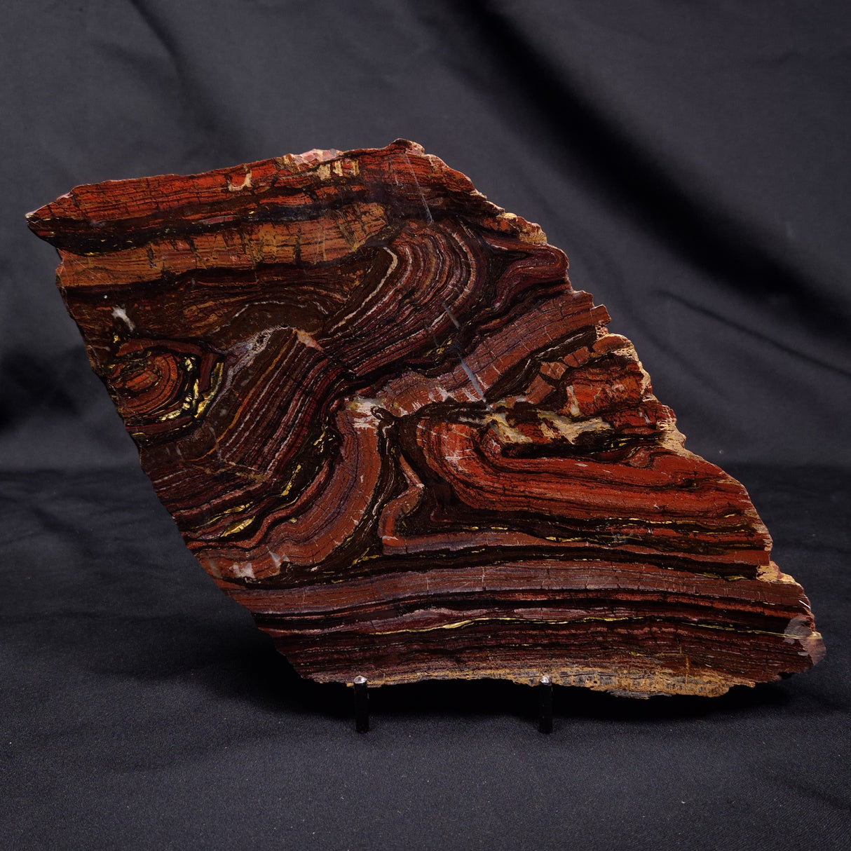 BANDED TIGER IRON MICROBIALITE, Archean, Australia ZBI069