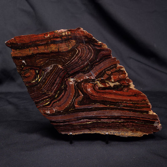 BANDED TIGER IRON MICROBIALITE, Archean, Australia ZBI069