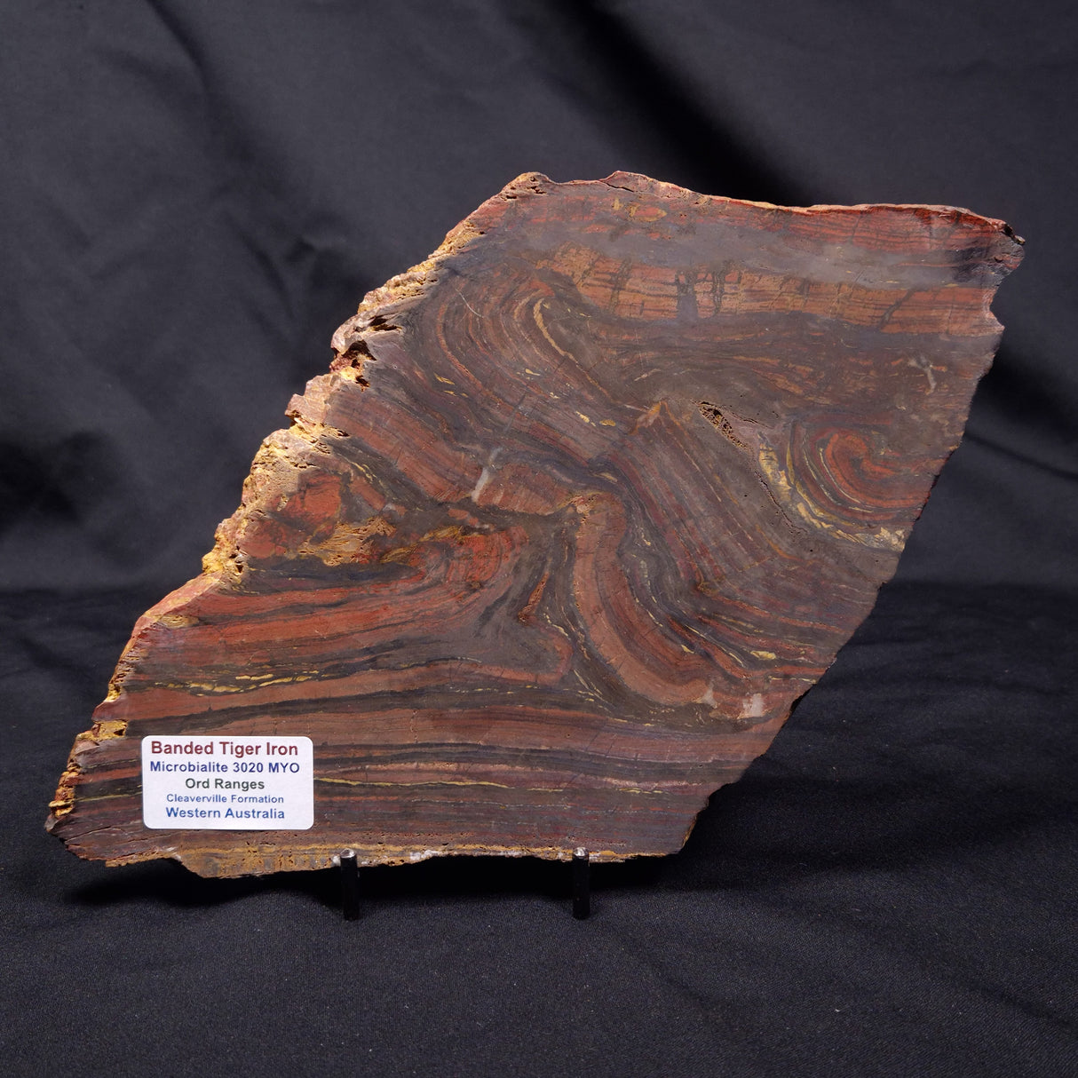 BANDED TIGER IRON MICROBIALITE, Archean, Australia ZBI069