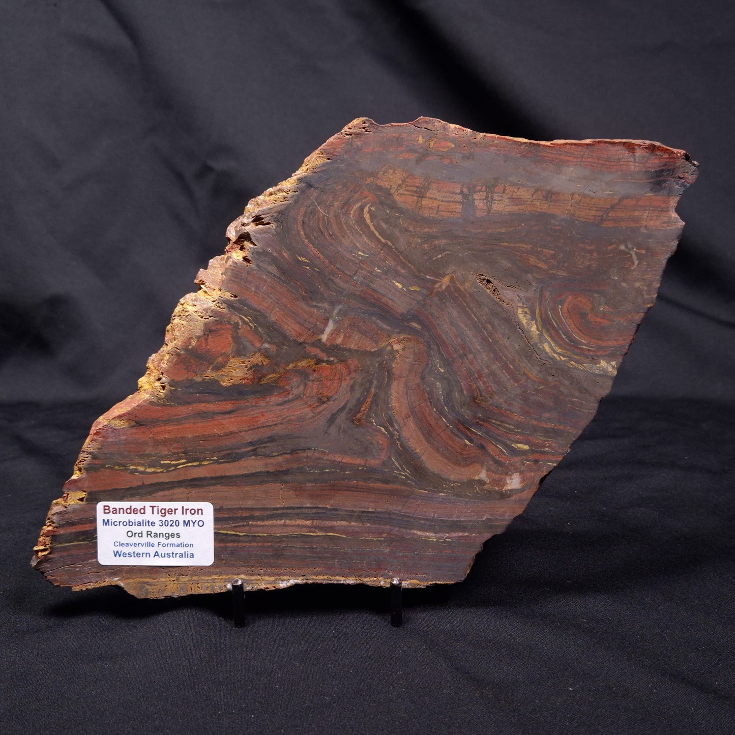 BANDED TIGER IRON MICROBIALITE, Archean, Australia ZBI069