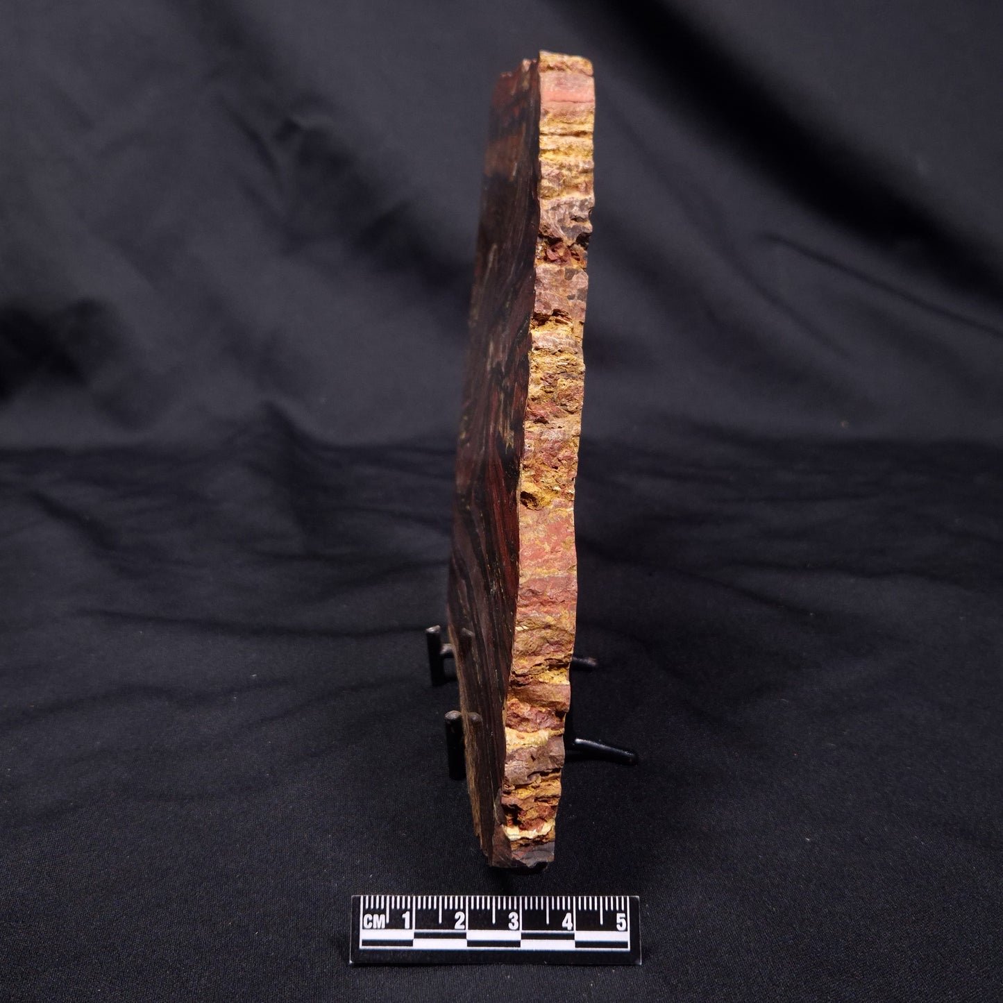 BANDED TIGER IRON MICROBIALITE, Archean, Australia ZBI069
