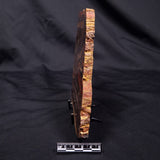 BANDED TIGER IRON MICROBIALITE, Archean, Australia ZBI069