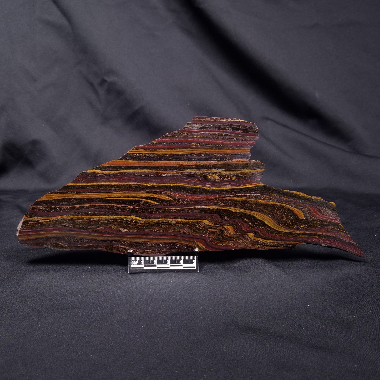 BANDED TIGER IRON MICROBIALITE, Archean, Australia ZBI070