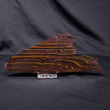 BANDED TIGER IRON MICROBIALITE, Archean, Australia ZBI070