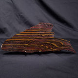 BANDED TIGER IRON MICROBIALITE, Archean, Australia ZBI070